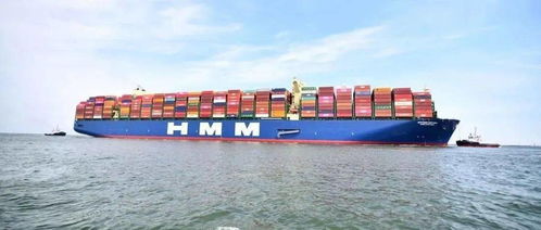 丝路海运 从福建走向世界的全球贸易物流新亮点