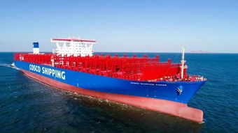 新年开门红！中远海运多艘新船命名交付，助力国际海运物流网络优化升级