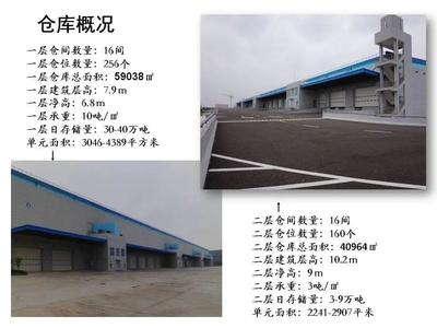 迈科物流 引领海上国际货物运输代理的专业力量